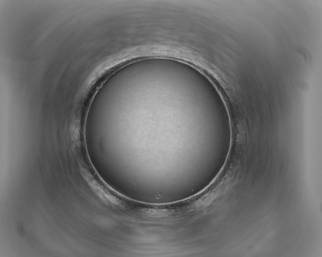 X0000110871499200906181151