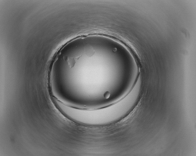 X0000110871500200906181151