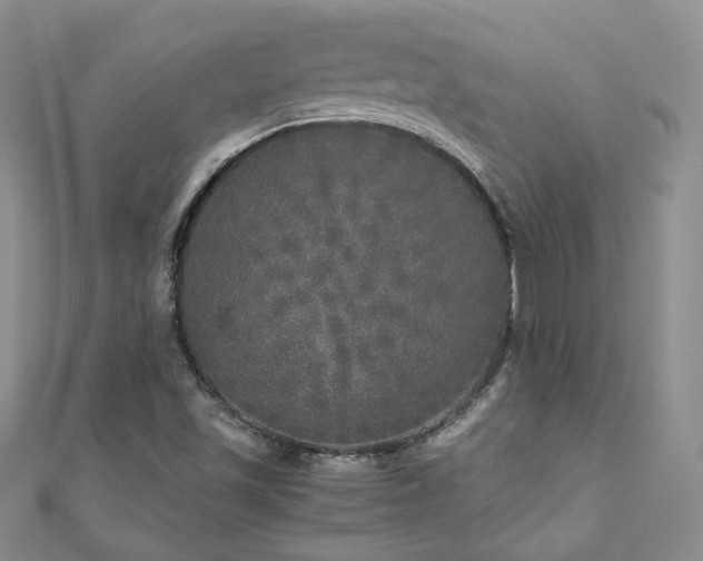 X0000110871501200906181151