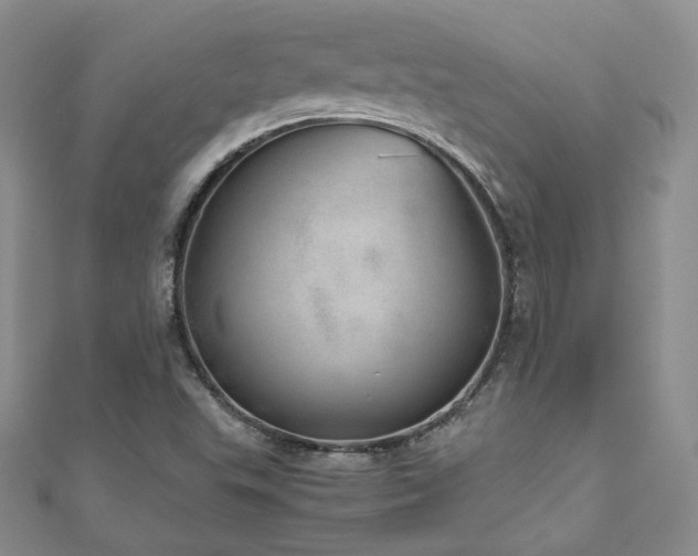 X0000110871503200906181151