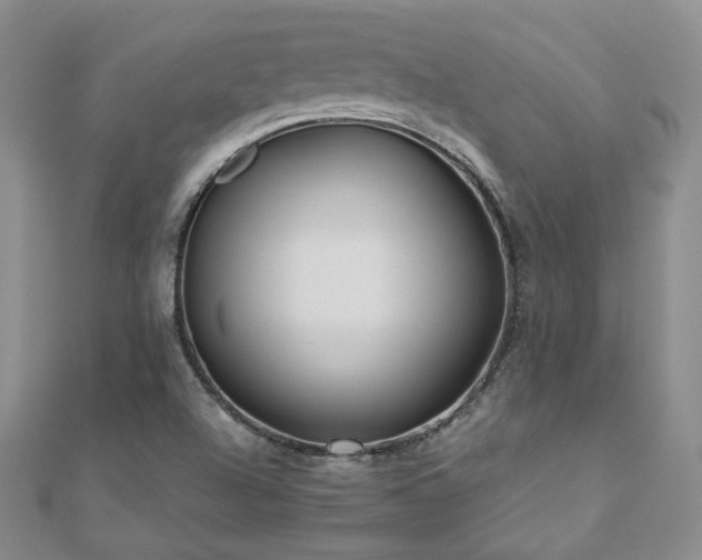 X0000110871504200906181151