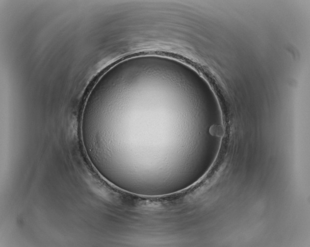 X0000110871505200906181151