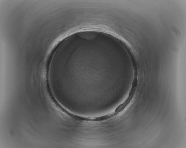 X0000110871506200906181151