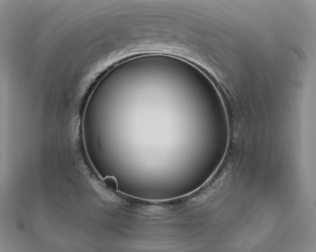 X0000110871507200906181151