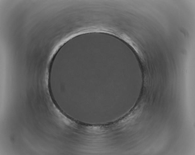 X0000110871508200906181151