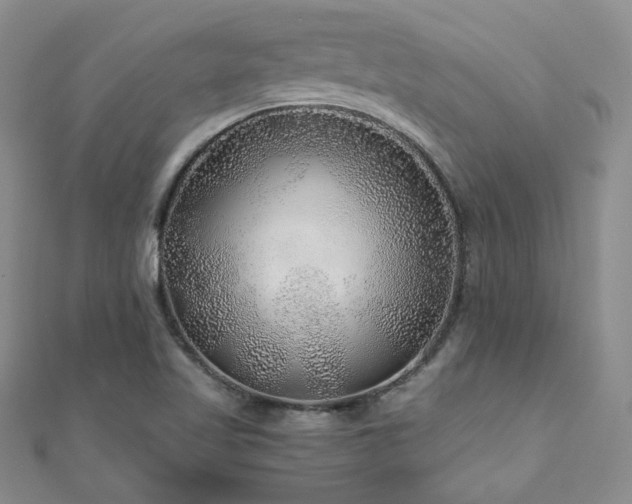 X0000110871509200906181151