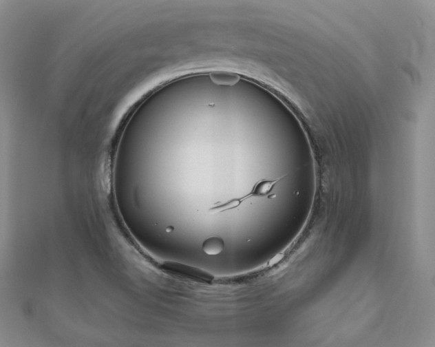 X0000110871510200906181151