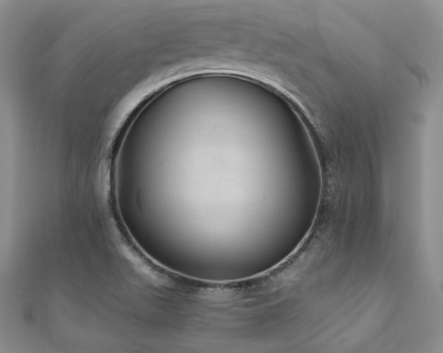 X0000110871511200906181151