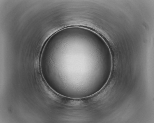X0000110871513200906181151