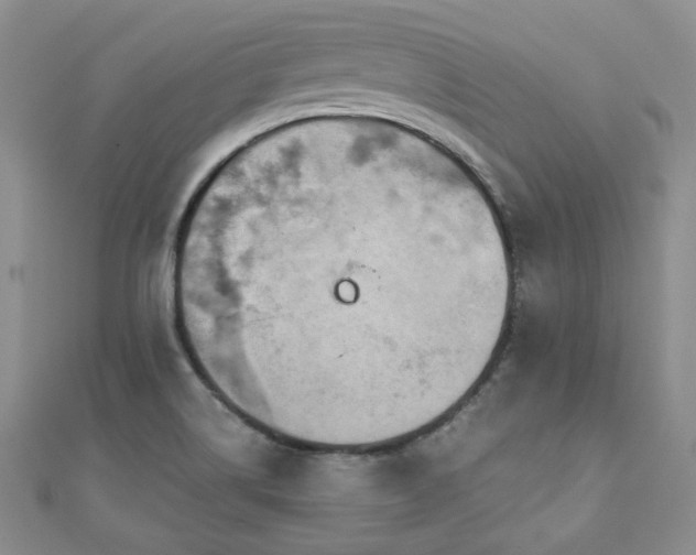 X0000110871514200906181151