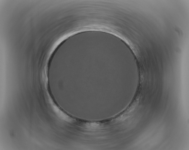 X0000110871515200906181151