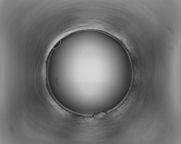 X0000110871516200906181151