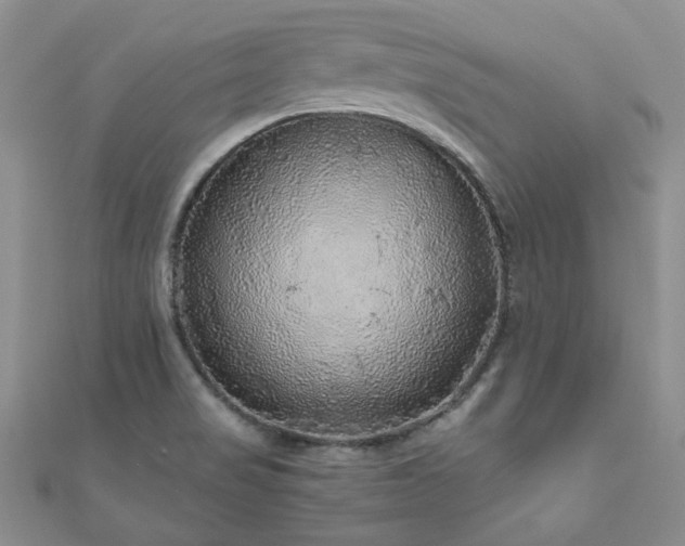 X0000110871517200906181151