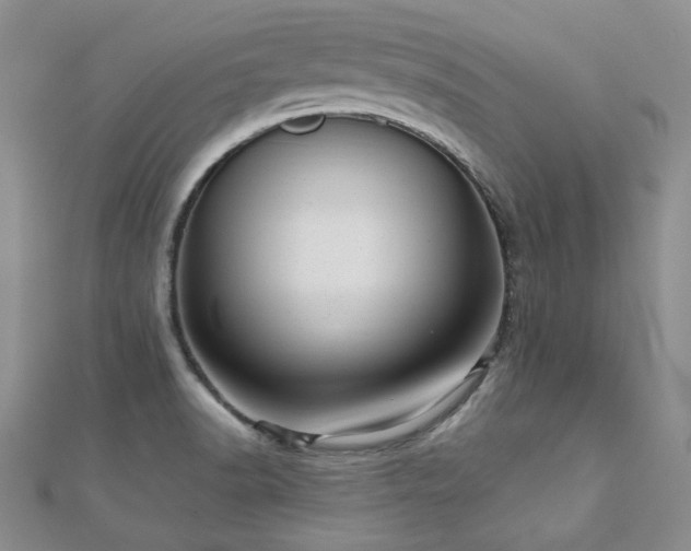 X0000110871518200906181151