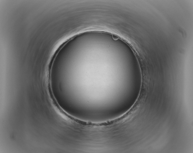 X0000110871519200906181151