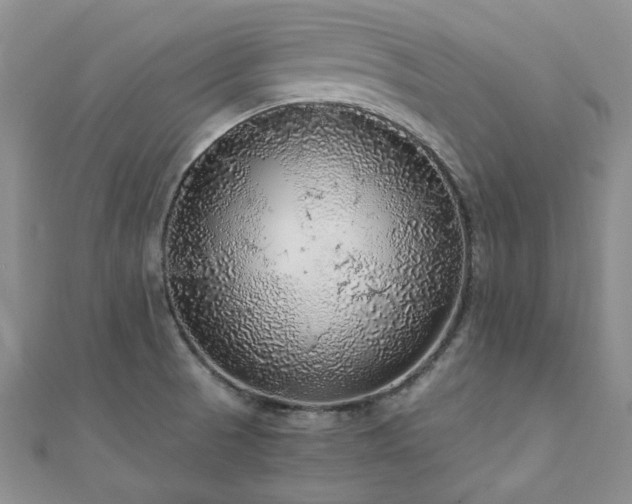 X0000110871521200906181151