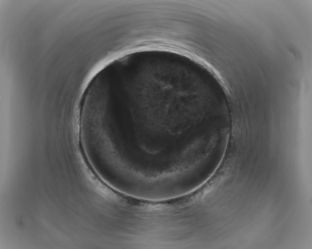 X0000110871522200906181151