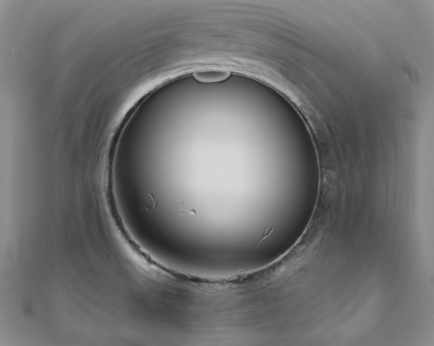 X0000110871523200906181151