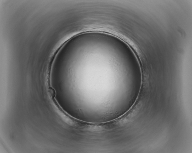 X0000110871525200906181151