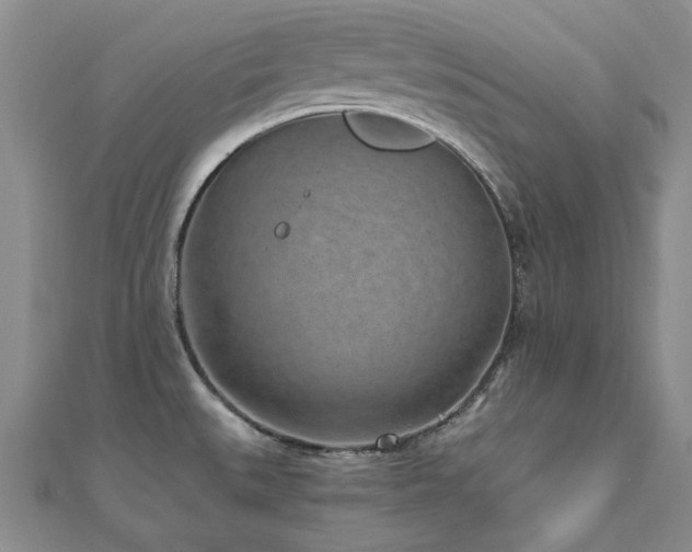 X0000110871527200906181151