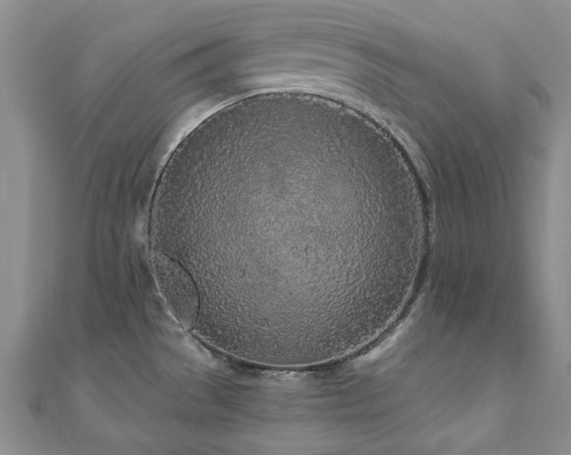 X0000110871529200906181151