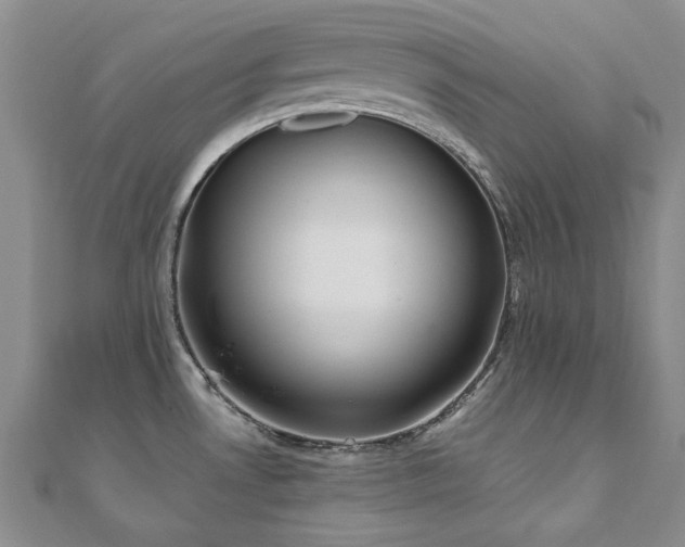 X0000110871530200906181151