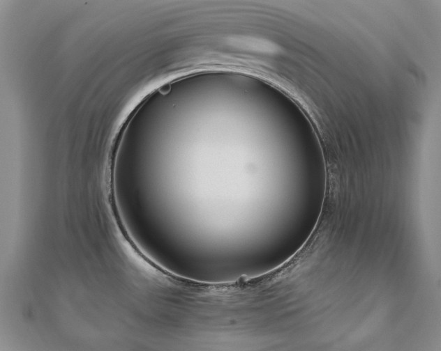 X0000110871531200906181151