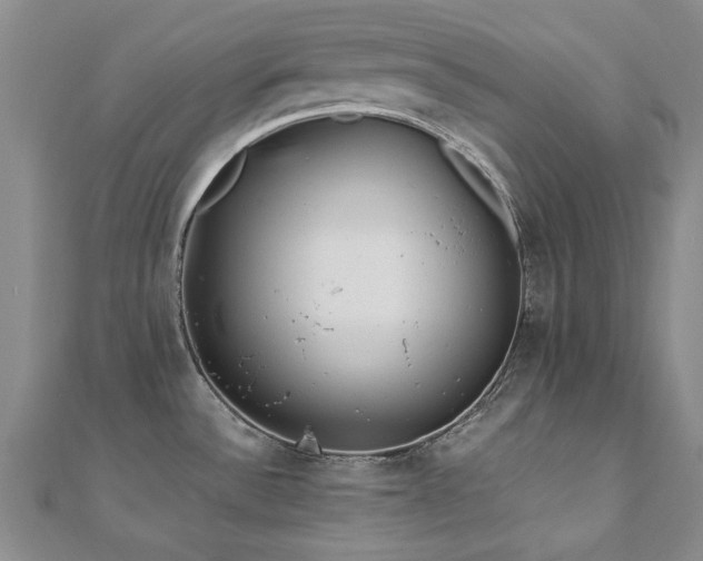 X0000110871532200906181151