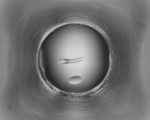 X0000110871536200906181151