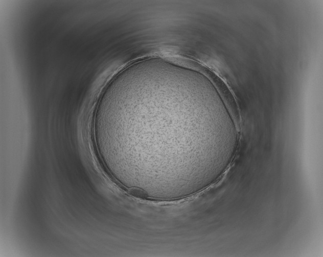 X0000110870001200906251238