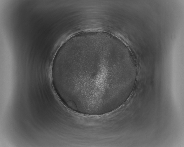 X0000110870002200906251238