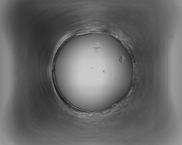 X0000110870003200906251238