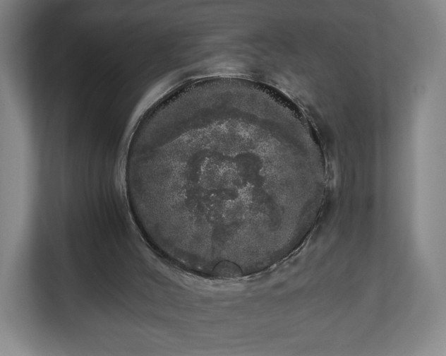 X0000110870004200906251238