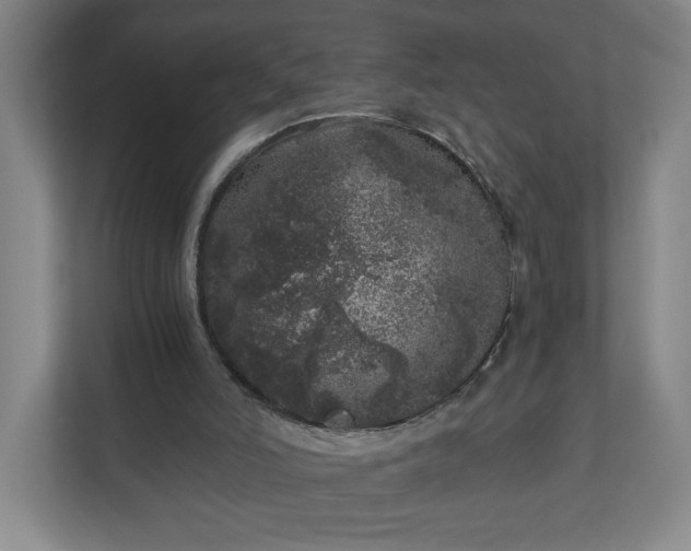 X0000110870006200906251238