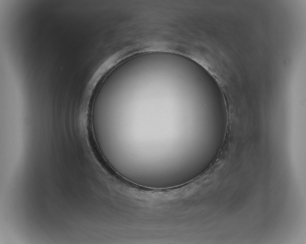 X0000110870007200906251238