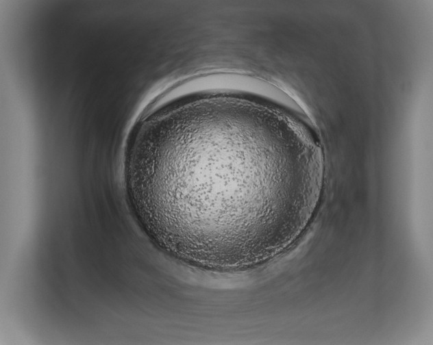 X0000110870008200906251238