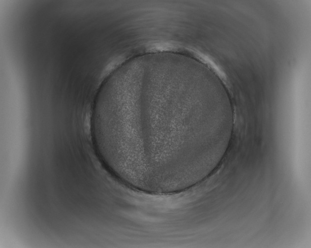 X0000110870010200906251238