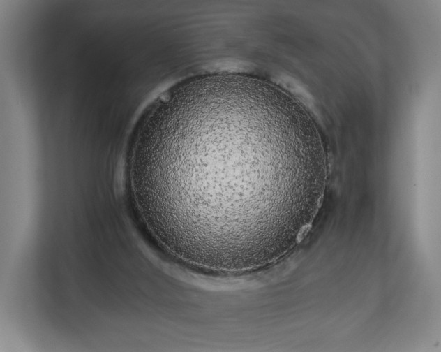 X0000110870012200906251238