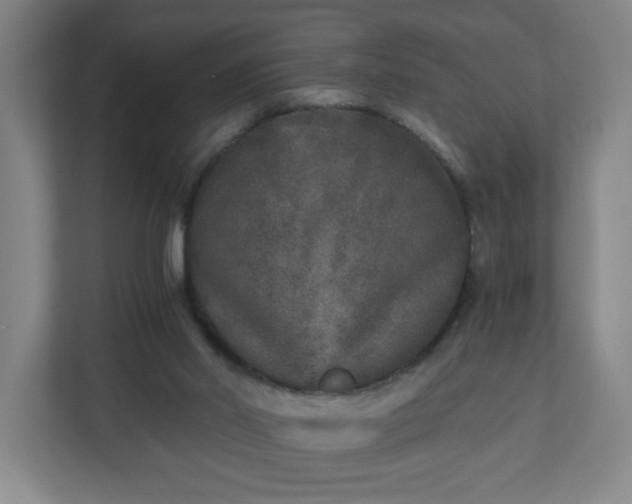 X0000110870014200906251238