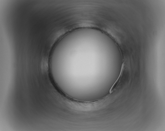 X0000110870015200906251238