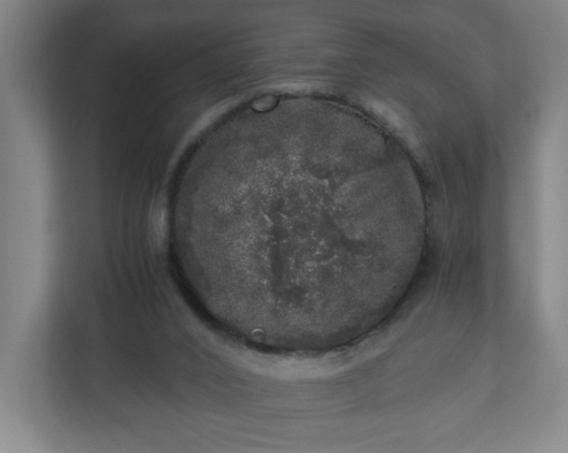 X0000110870016200906251238