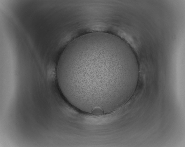 X0000110870017200906251238