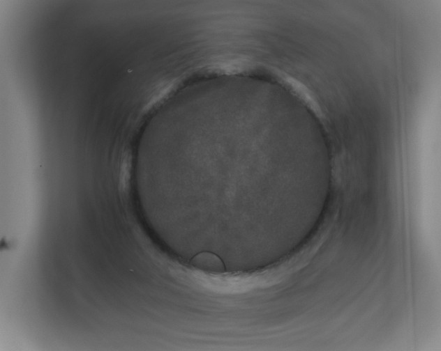 X0000110870018200906251238