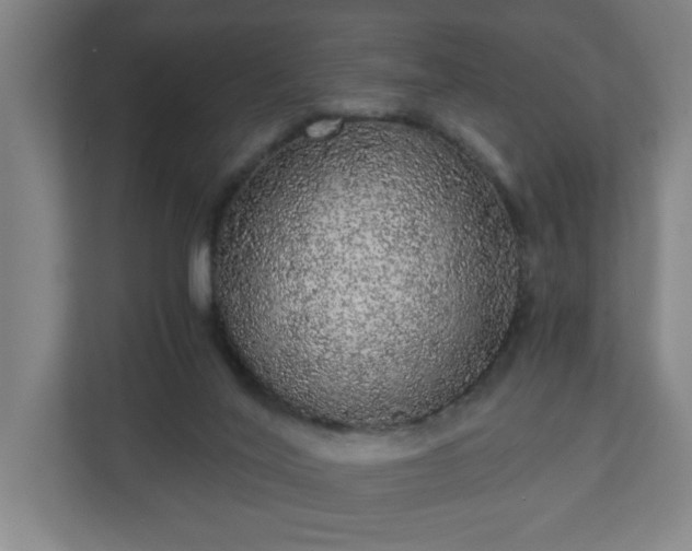 X0000110870020200906251238