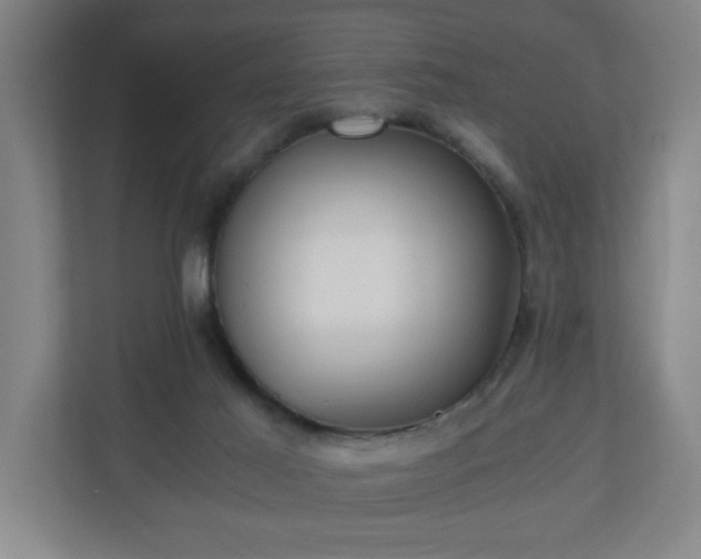 X0000110870021200906251238