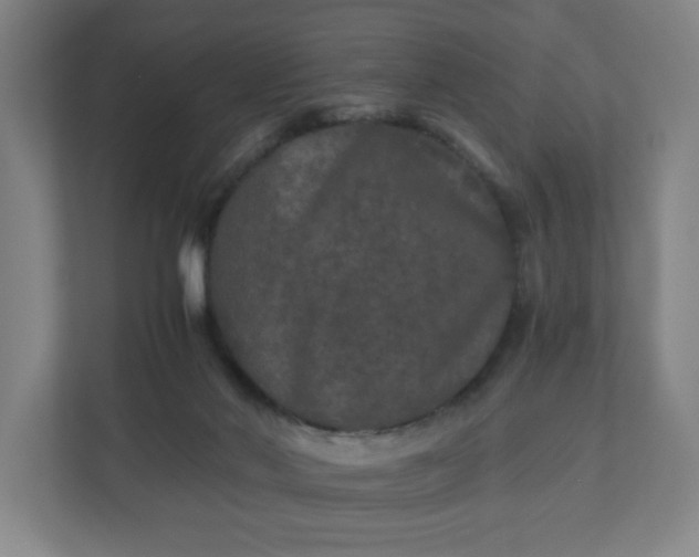 X0000110870022200906251238