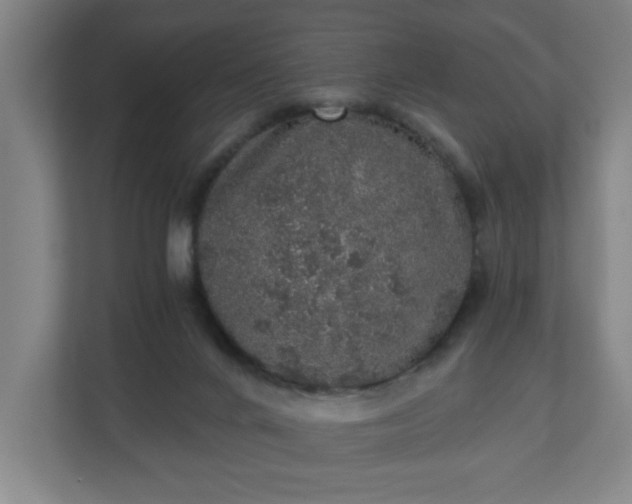 X0000110870024200906251238