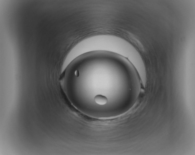 X0000110870025200906251238