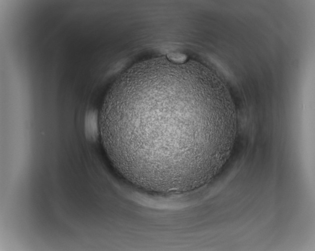 X0000110870028200906251237