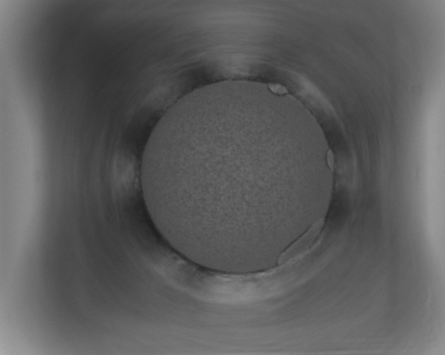 X0000110870029200906251237